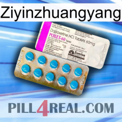 Ziyinzhuangyang new07
